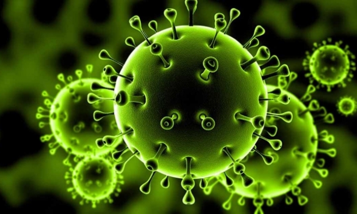 فيروس كورونا يصل إلى فرنسا