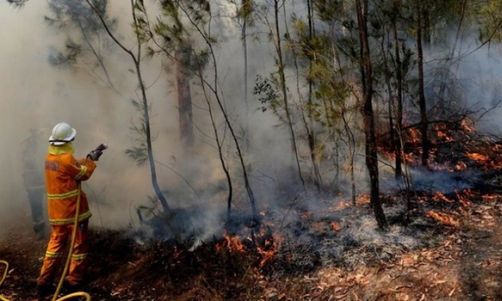 حرائق الغابات تهدد العاصمة الأسترالية والسلطات تعلن حالة الطوارئ
