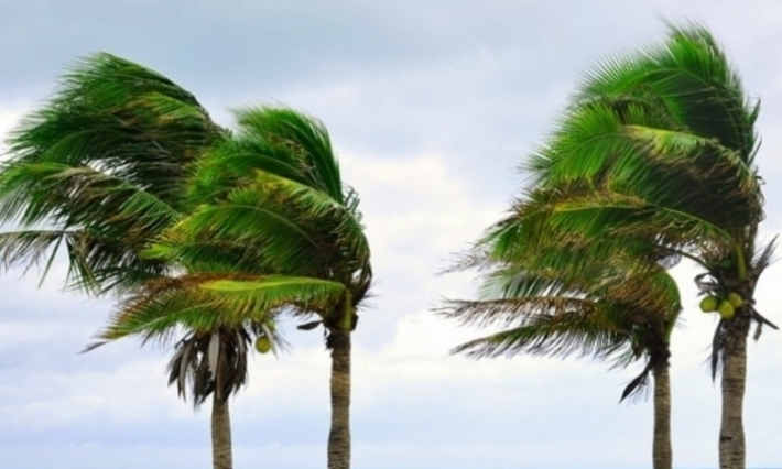 الرصد الجوي يحذر من رياح قوية