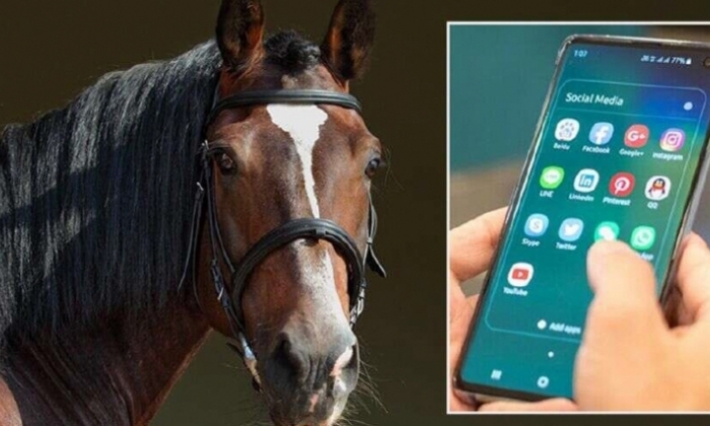 محاكمة أسترالي بتهمة التحدث في الهاتف أثناء ركوب حصان