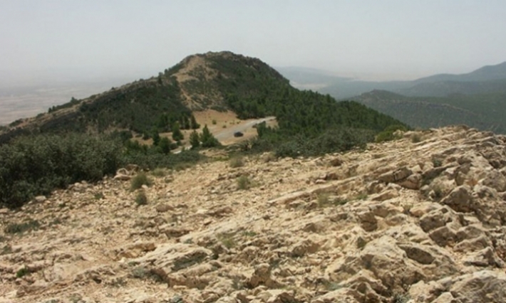 احتجاز نساء في جبل السلوم من قبل مجموعة إرهابية: الناطق باسم الحرس الوطني يوضح 