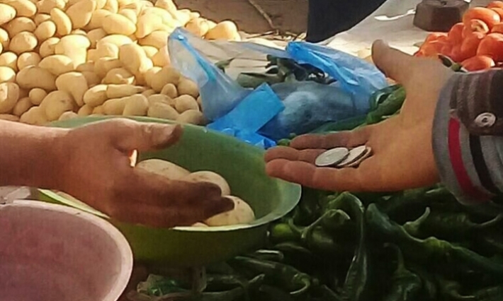 المدير الجهوي للتجارة بباجة: أسعار الخضر والغلال تتجه نحو الانخفاض حتى حلول شهر رمضان