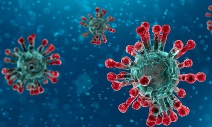 Tunisie : 10 nouveaux cas de coronavirus en 24h 