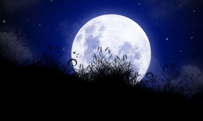 Cette nuit : la températures évolue entre 11 et 16°C 