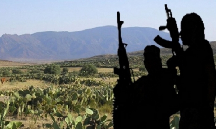 القصرين: مجموعة إرهابية تحتجز 9 نساء