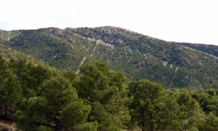 الناطق باسم الحرس الوطني: المنطقة العسكرية المغلقة بجبل السلوم تشهد عملية أمنية استباقية