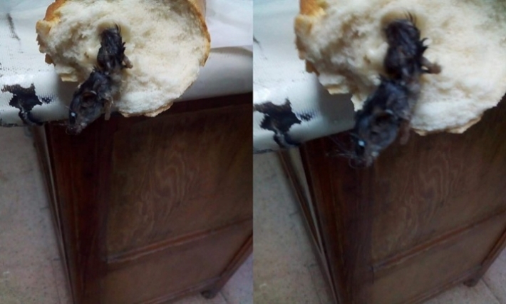 صفاقس: اشترت خبزا فوجدت داخله فأرا 