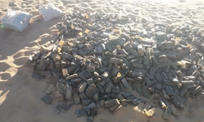 رمادة: العثور على 370 كلغ من الزطلة مخفية تحت التراب