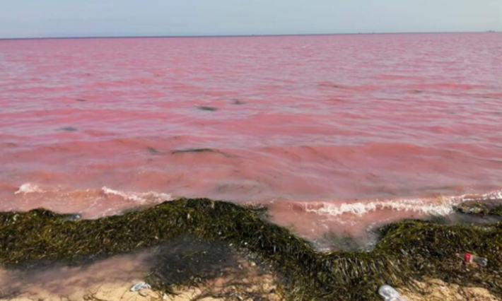 Golfe de Gabès : La couleur de la mer vire au rouge !!!